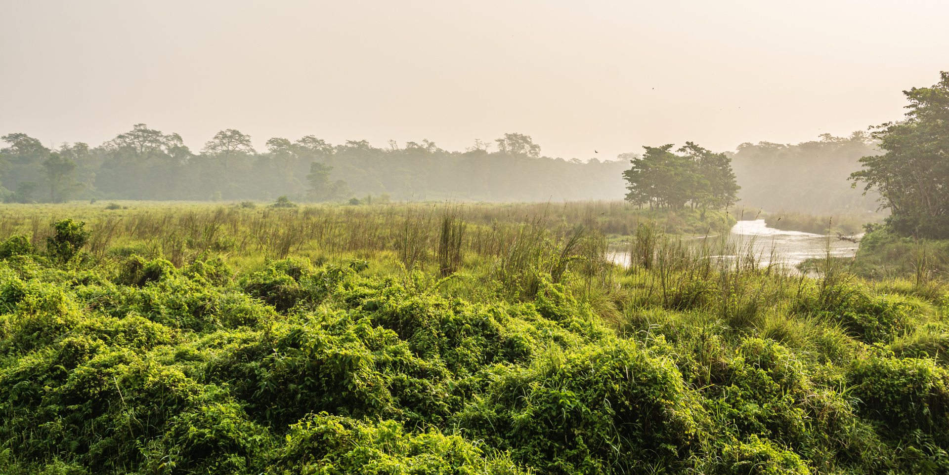 Chitwan Birdwatching Tour